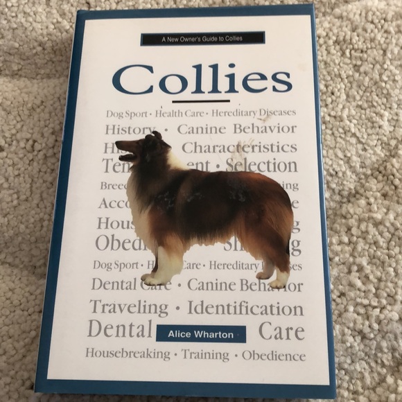 A New Owners Guide to Collies-an everything you need Collie dog book - Picture 1 of 10